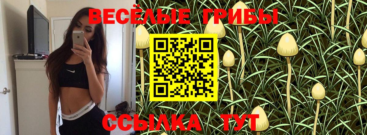 Алексеевка  Псилоцибиновые грибы Psilocybe  Вход с VPN  Галлюциногенные грибы Psilocybine cubensis 