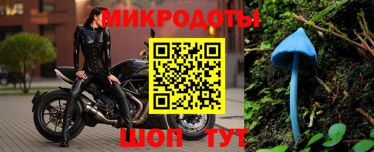 Псилоцибиновые грибы ЛСД Алексеевка